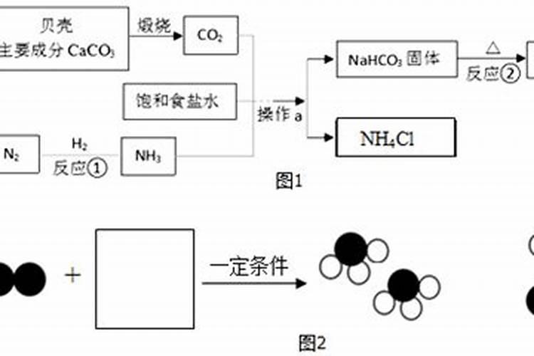 枣庄地区有多少家食品检测机构