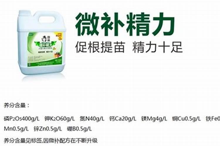 什么是海藻类食物 深海藻类食物有哪些 营养价值是什么