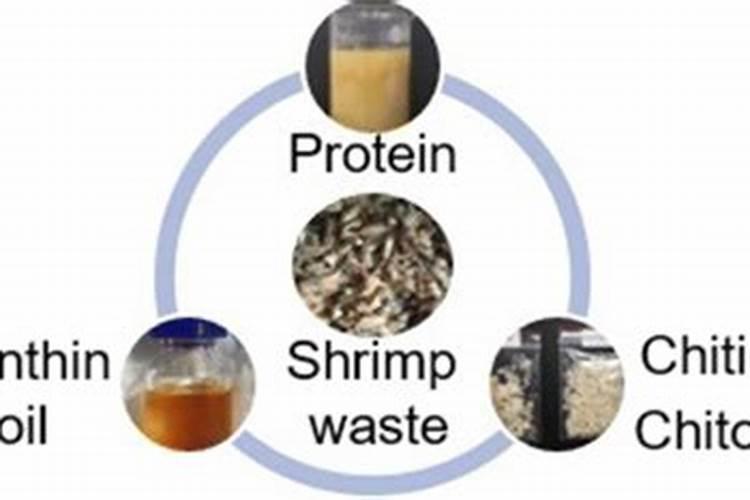 混养鱼塘用什么饲料