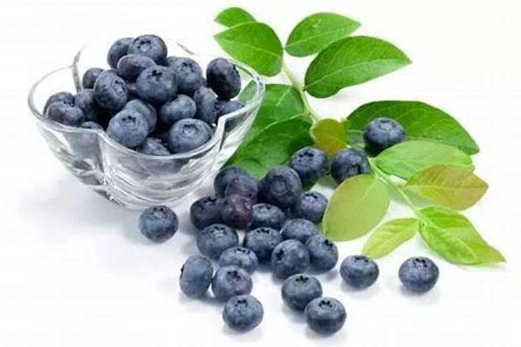 篮莓树苗生长期施用什么肥料为最佳效果,多长时间浇次水？