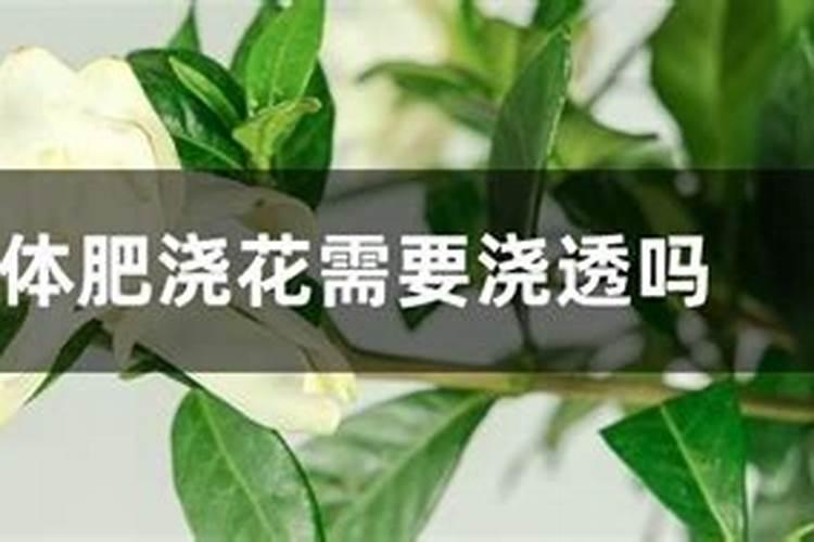 硅肥营养液怎么用 液体硅肥的使用方法