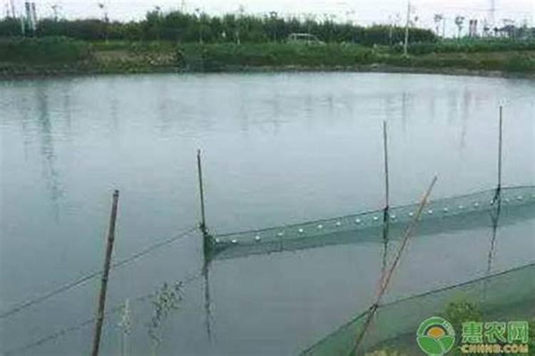 什么牌子精氨酸好 分享三大热销精氨酸产品