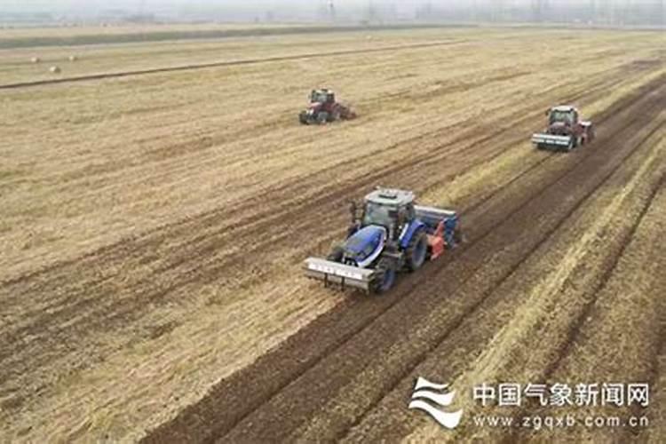 晚播小麦能浇冻水吗