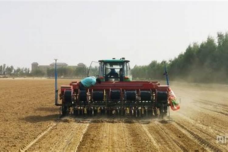 晚播小麦想要增产,使用肥料时都有哪些技巧？