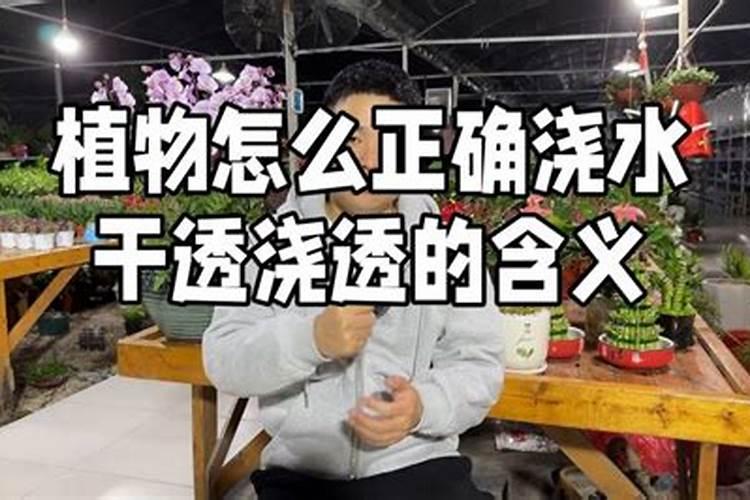 水溶肥需要浇透吗