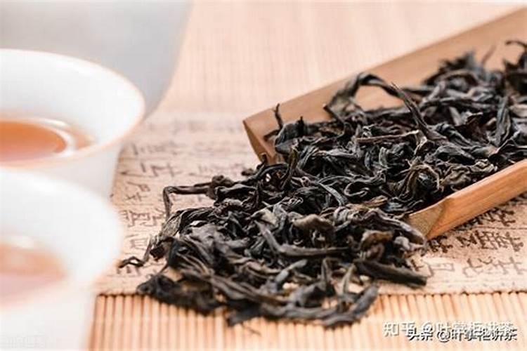 大红袍兰花怎么养