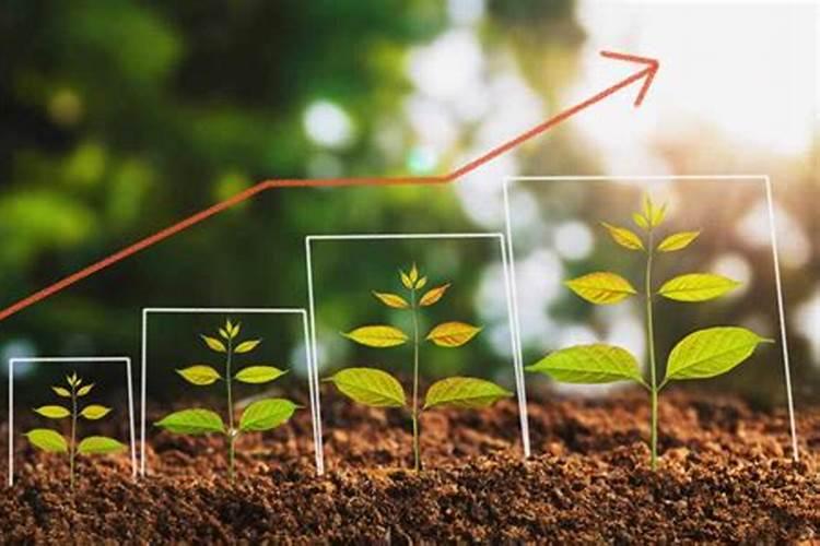 中药材种植如何科学施肥,一看就懂!