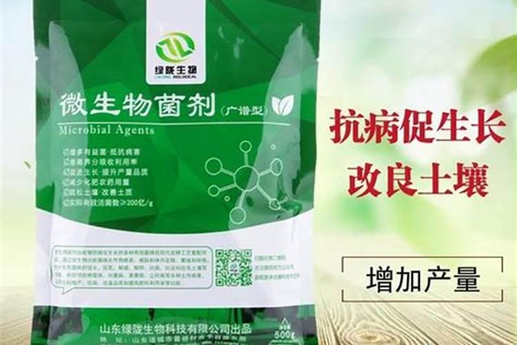 食葵灌浆需要施什么肥