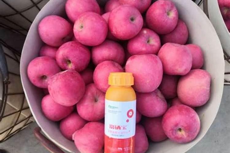 水溶肥怎么用效果更好？