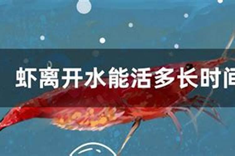 黄腐酸钾可以和鱼蛋白混冲施吗