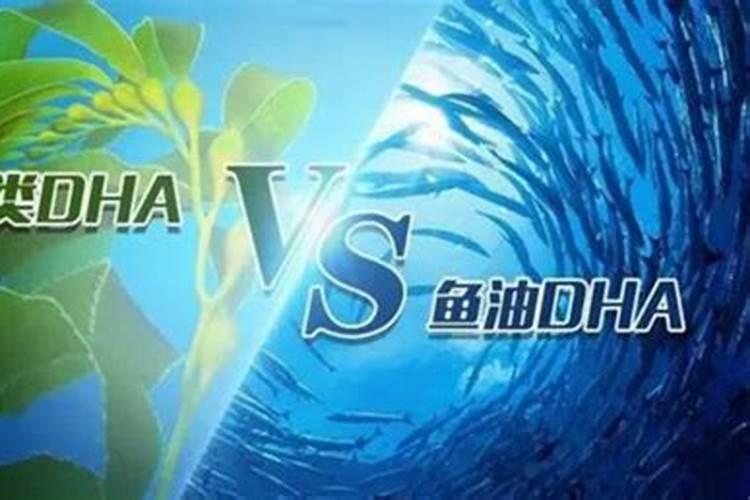 什么药能治三樱椒死苗黄叶根腐病