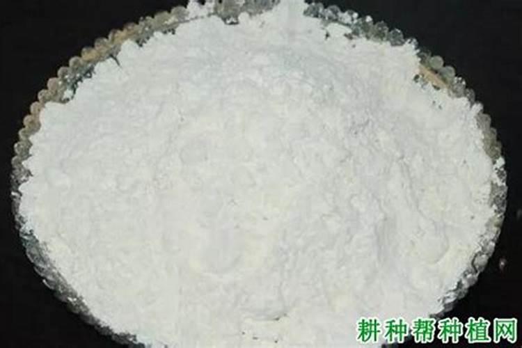 柚子树施什么肥最好？掌握“六肥”,更有利于柚子高产稳产