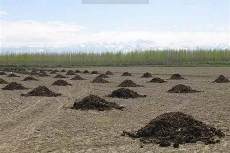 农家肥腐熟是什么意思