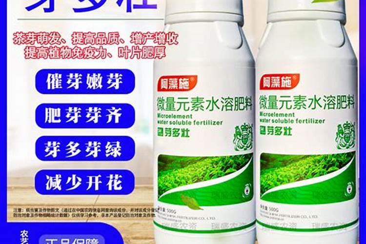 生根剂和叶面催芽剂可以一起喷吗？