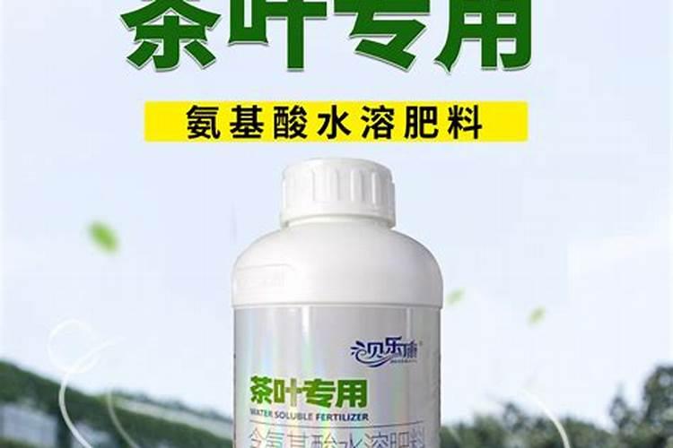 茶树催芽壮芽用什么药最快