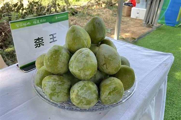 猕猴桃施基肥方法 猕猴桃怎么施肥