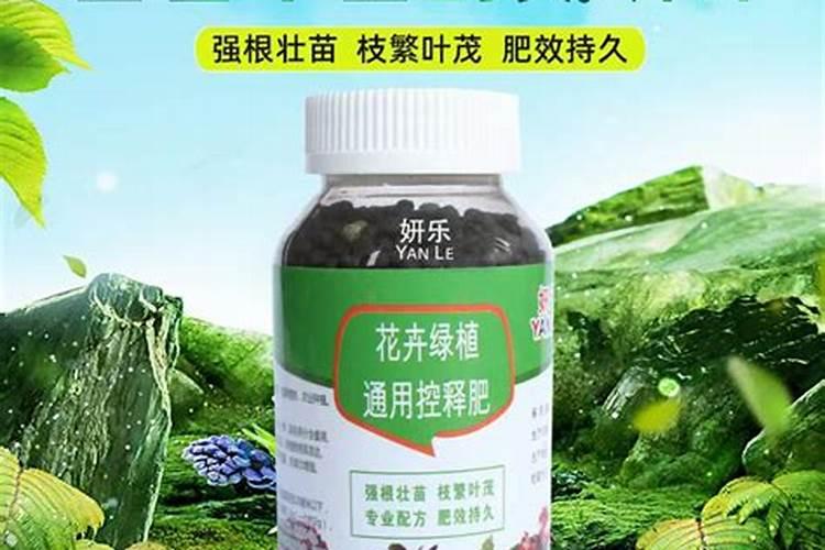 控释肥和营养液哪个好