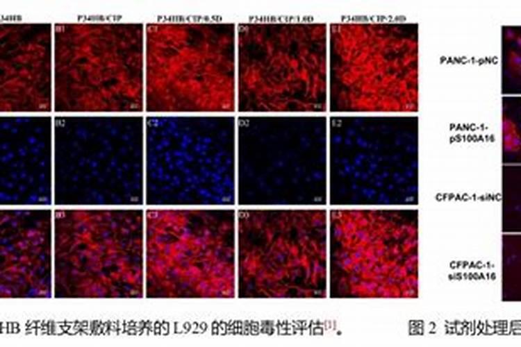 葡萄什么时候补充钙肥？