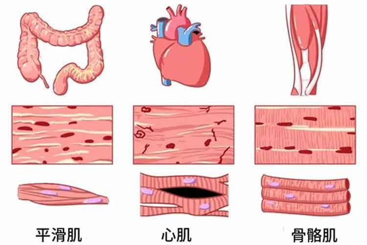 磷肥有哪些 有哪些是磷肥