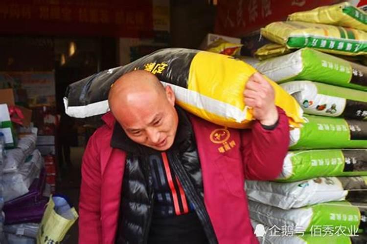 碧护大量元素水溶肥价格