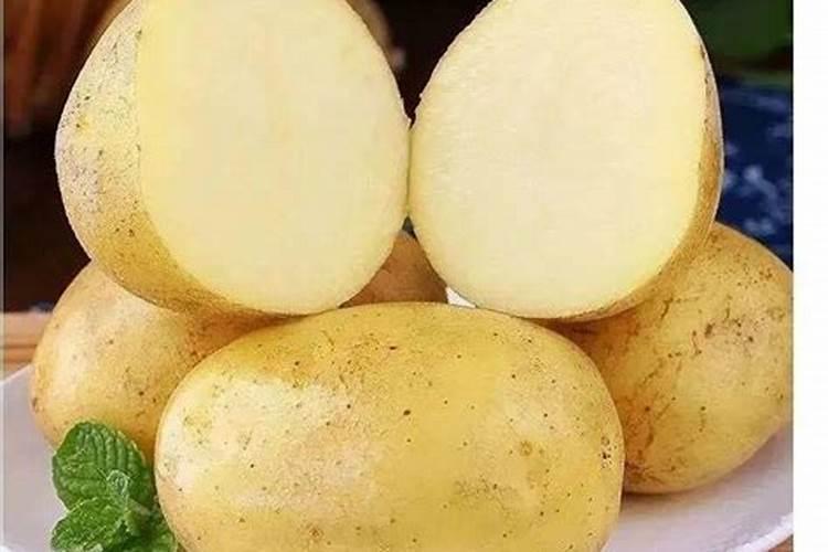 吃什么补钾最快最好 补钾的菜品有哪些