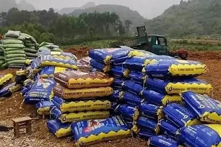 黑皮果的种植方法 黑皮果蔗高产种植方法介绍