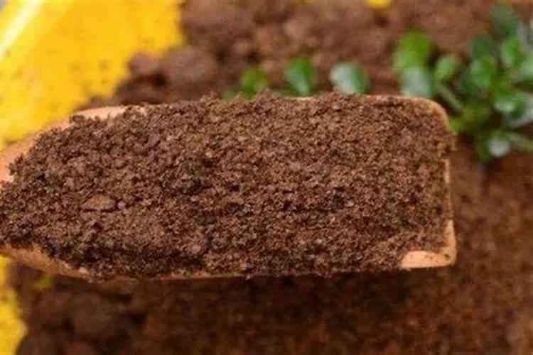 常用的氮肥品种有哪些？性质如何？施用特点是什么