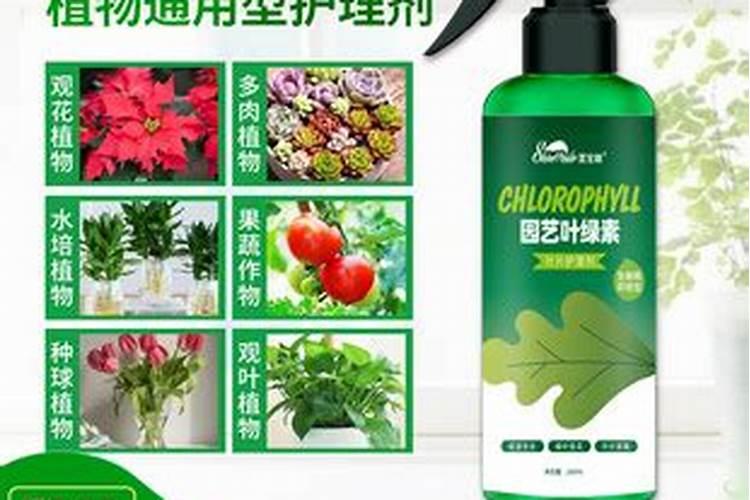 叶绿素叶面肥喷在秧田里能用几次吗？