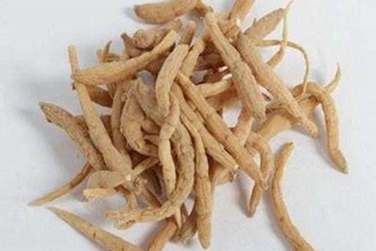 太子参虫害防治