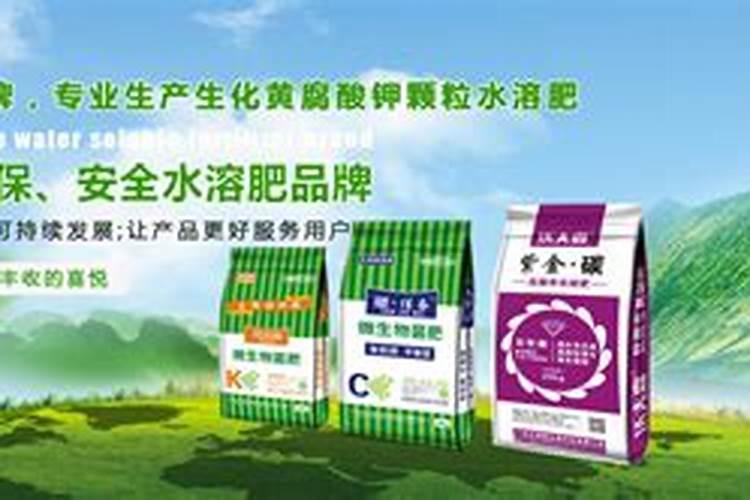 柑橘补钙正当时!掌握了这3个时期2种方法,今年果靓卖高价!