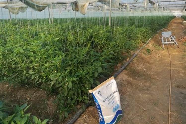 水溶肥能代替复合肥吗