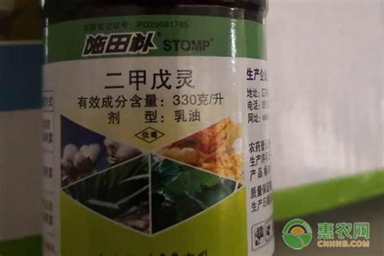 芝麻花期用什么叶面肥较好