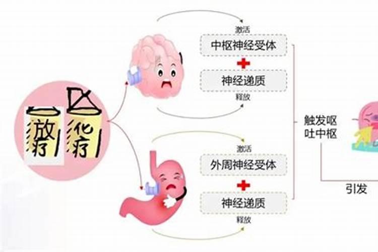 矿源黄腐酸钾的使用时间和用量？冲施矿源水溶肥需要注意的事项