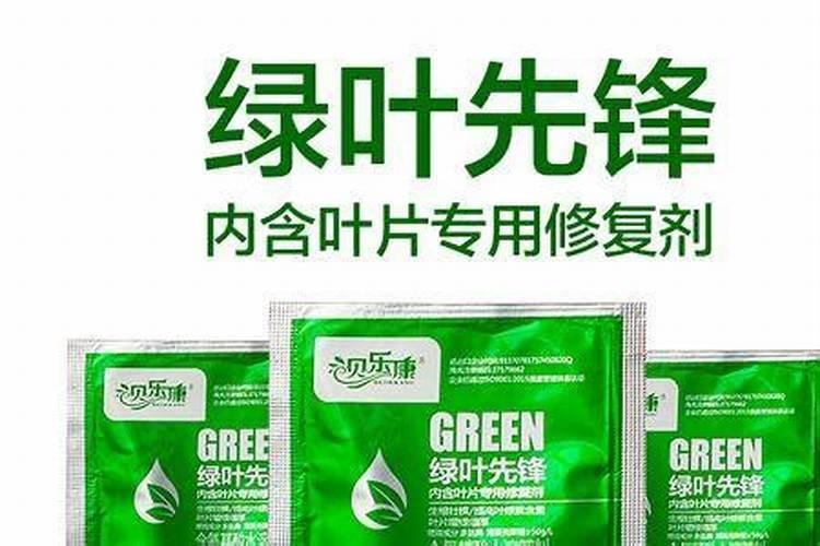 泰国Colly叶绿素具体功效是怎么样的？