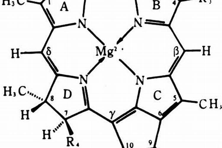 叶绿素对人体的作用是？