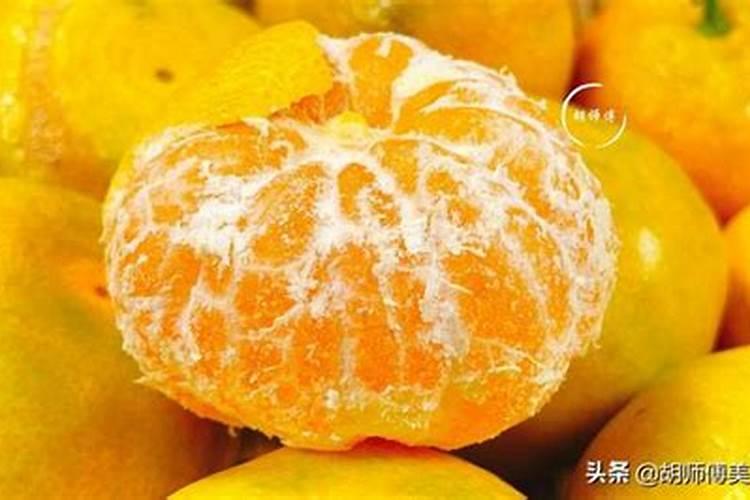 桔子树怎么养护？