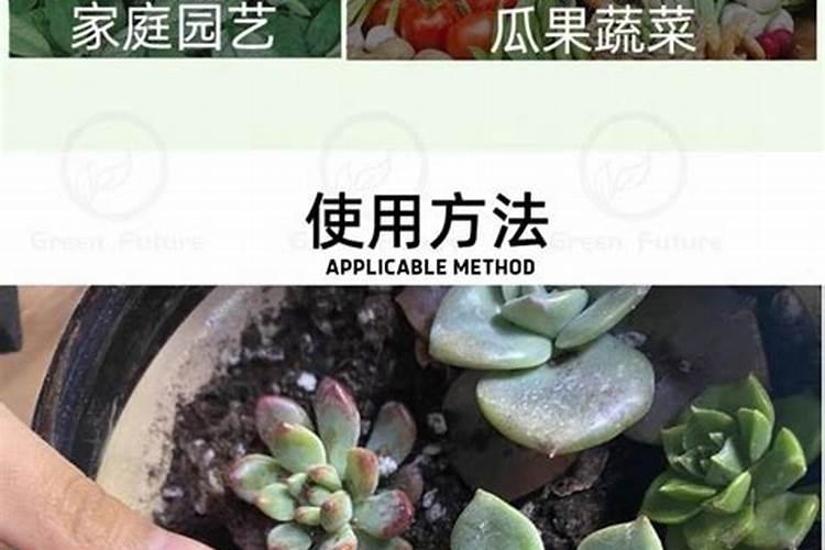 园艺防虫片好还是硼肥片好