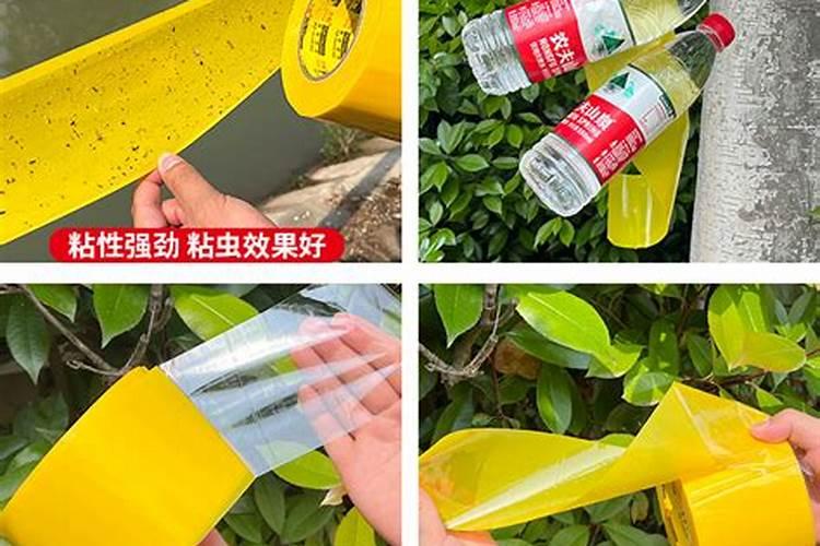 园艺防虫片好还是硼肥片好