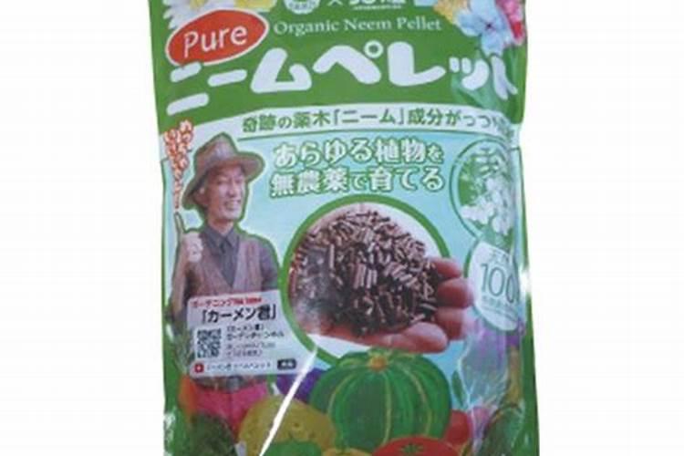 茄子种植什么时候好？叶面肥防病用什么好