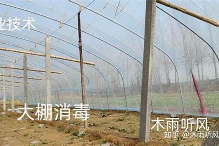 网箱养鱼使用生石灰消毒的正确方法