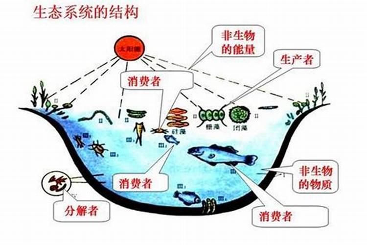 磷肥的作用磷肥可以直接撒在根部吗