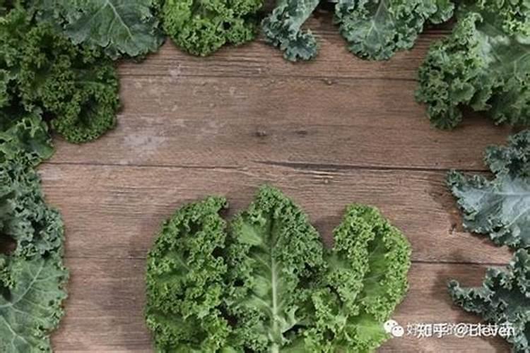 种甘蓝施什么肥