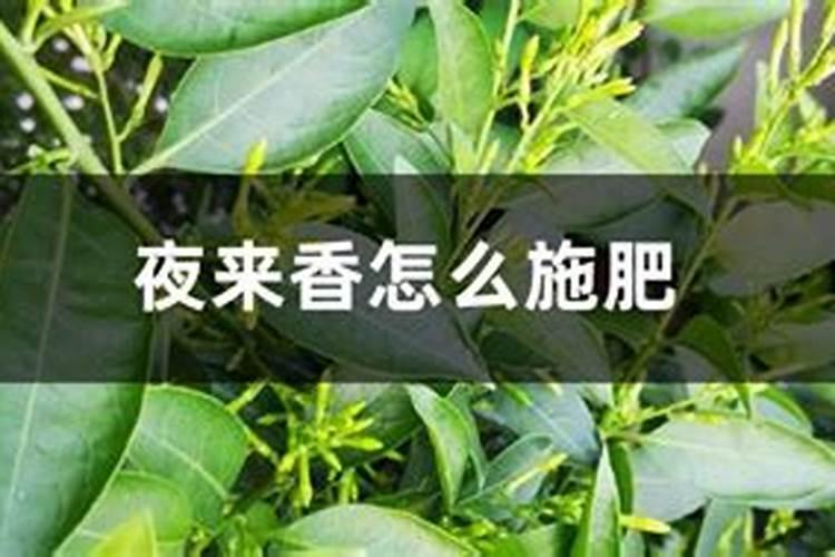 如何合理施用钾肥。