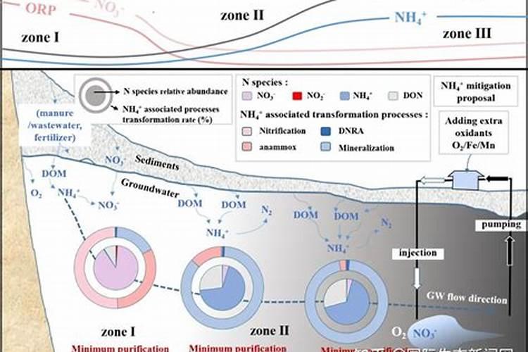 怎么在草缸水族箱里培养硝化细菌？这种细菌能看到吗？
