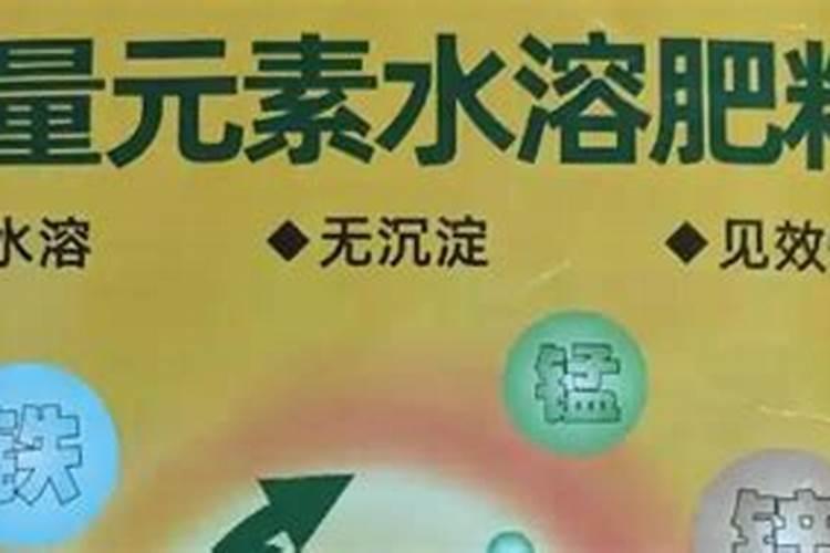 水溶肥可以撒施吗