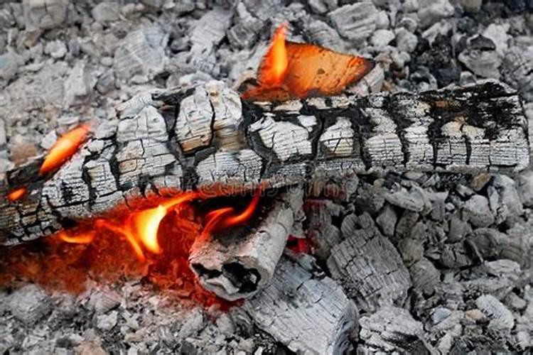 柴火灰可以种盆栽吗