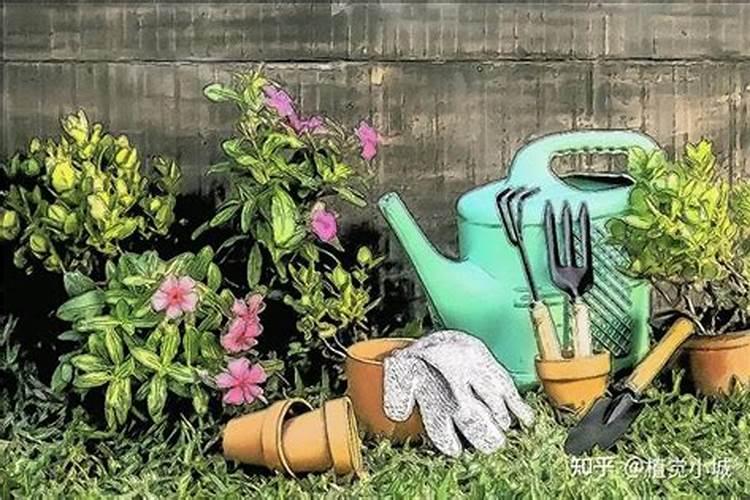 氮肥养花一克用多少水兑