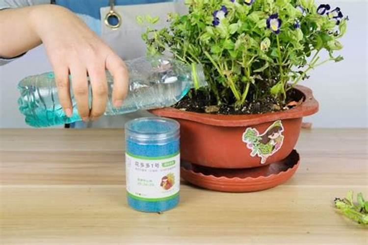 氮肥养花一克用多少水兑