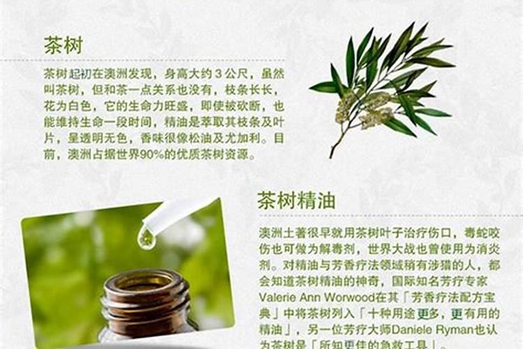 废纸可以做肥料吗