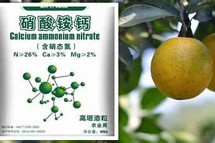 如何进行科学施肥